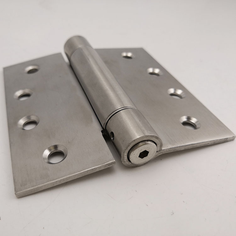 spring door hinge (5)
