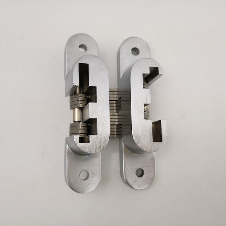Concealed Hinge (3)