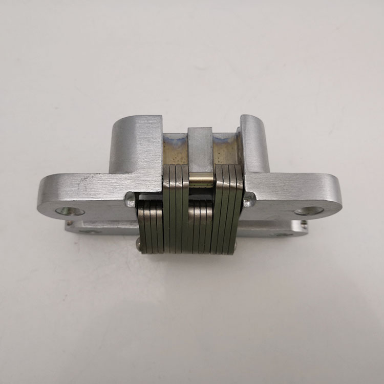 Concealed Hinge (4)