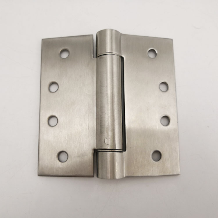 spring door hinge (2)