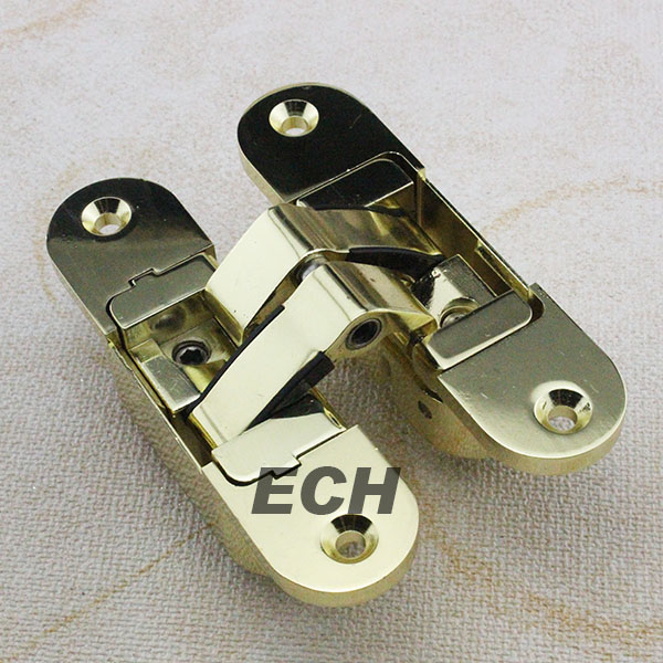 spring loaded door hinge