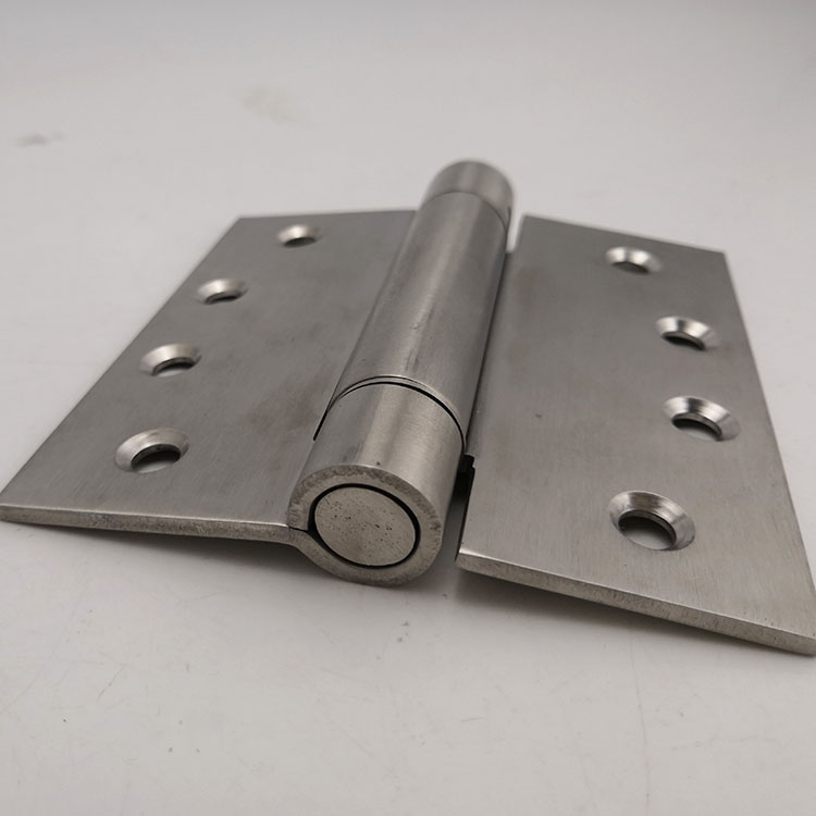 spring door hinge (4)