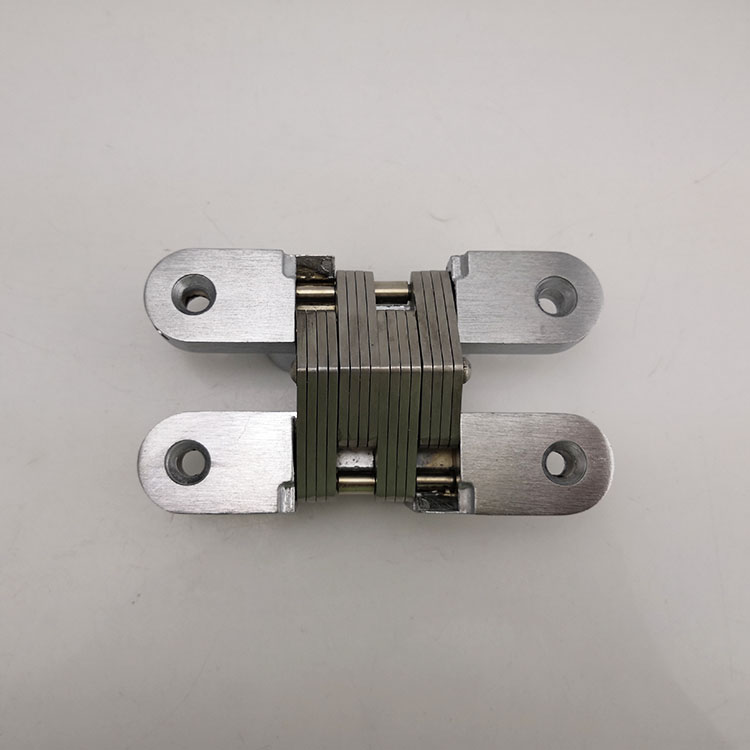 Concealed Hinge (2)