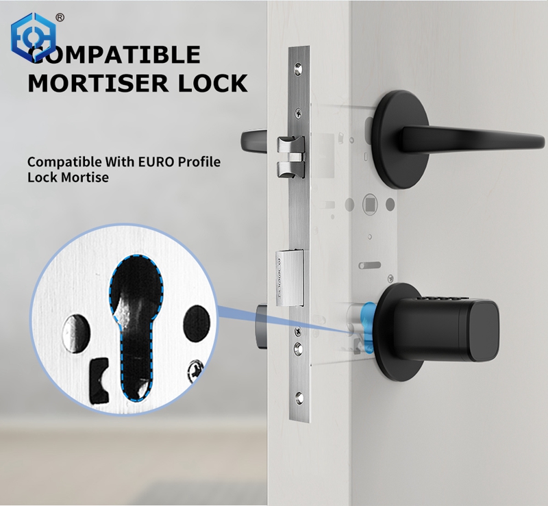 Electronic Lock Cylinder