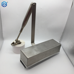 Stainless Steel Hydraulic Double Cylinder Glass Door Hinge Floor Spring Door Closer