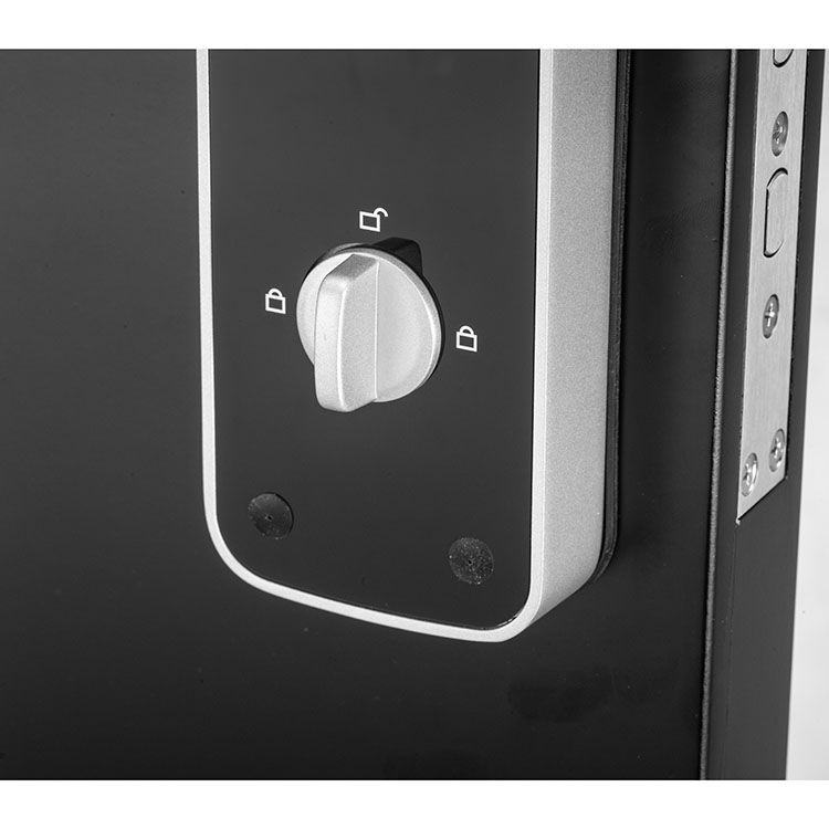 Fingerprint +Password + Cards+ Mechanical Keys 