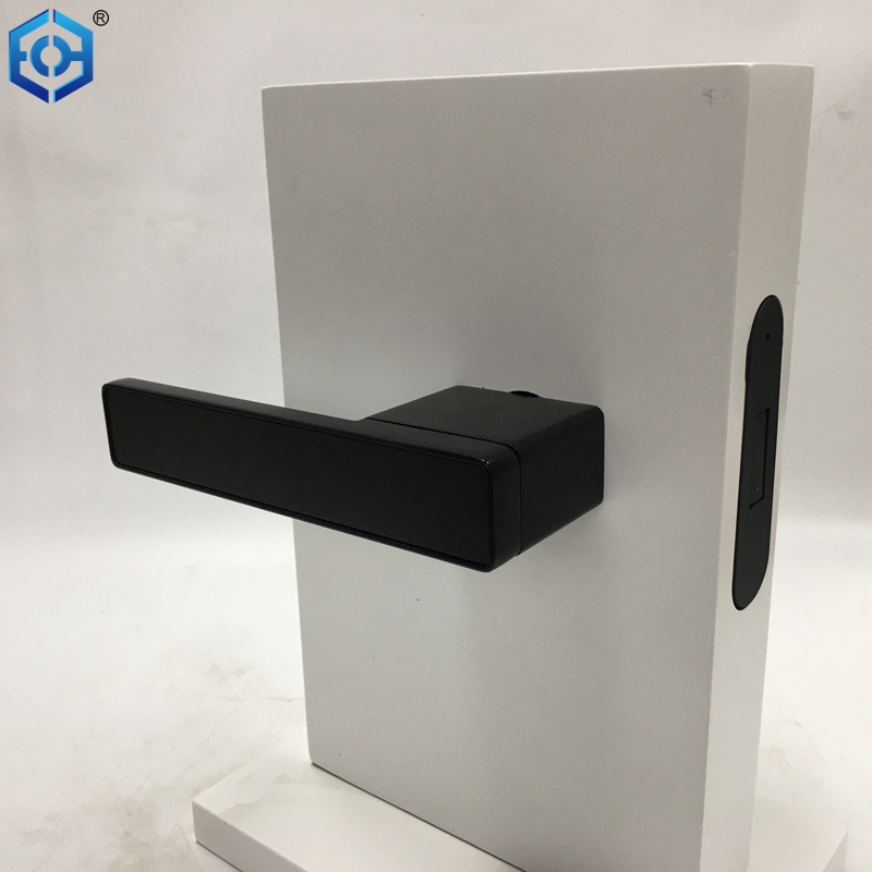  Magnetic lever door lock