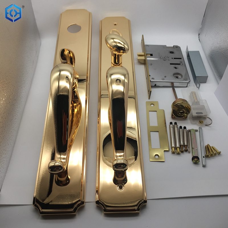Solid Brass Entry Door Handle Set with Door Lever in Brushed Brass Finish for 5-1/2