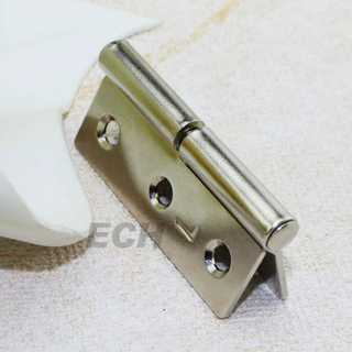 Ec Hardware Steel Rotating Door Hinge (ECH-4099L)