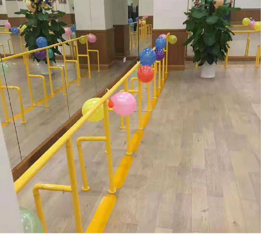 heavy duty suction grab bars