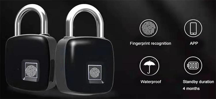 squire stronghold ss100cs