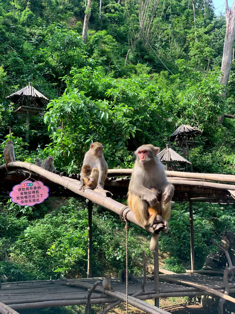 EC Hardware's Sipsongpanna