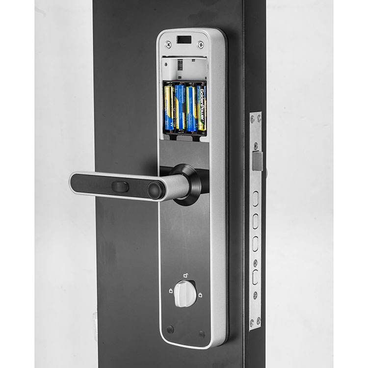 Chinese and English switching