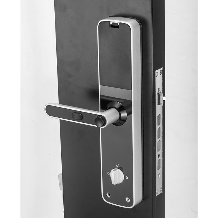 OAC Zinc Alloy Smart Wifi Biometric Fingerprint Access Control Door Lock for Office