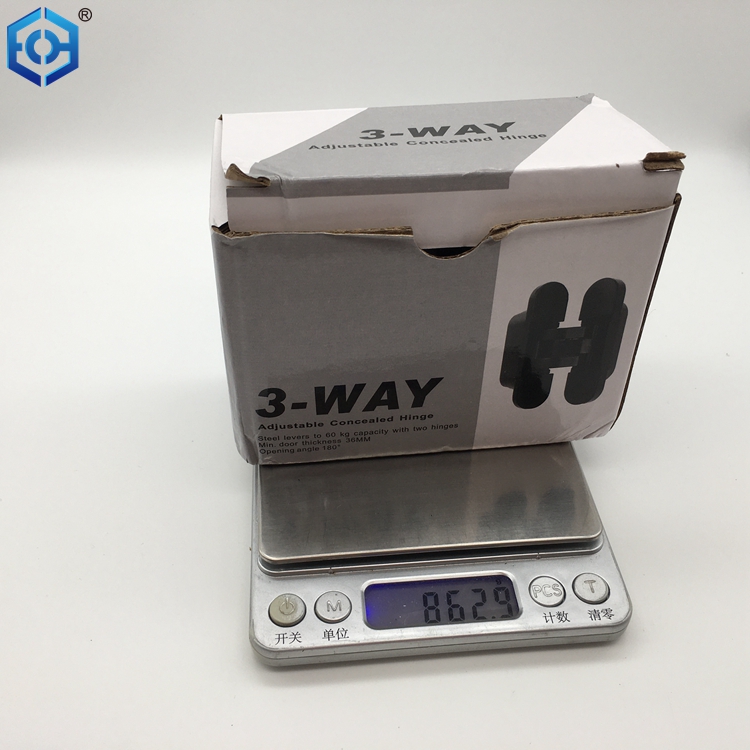 3-way Adjustable Concealed Hinge for 60kg Load Capacity Door Invisible Hinge Manufacturer