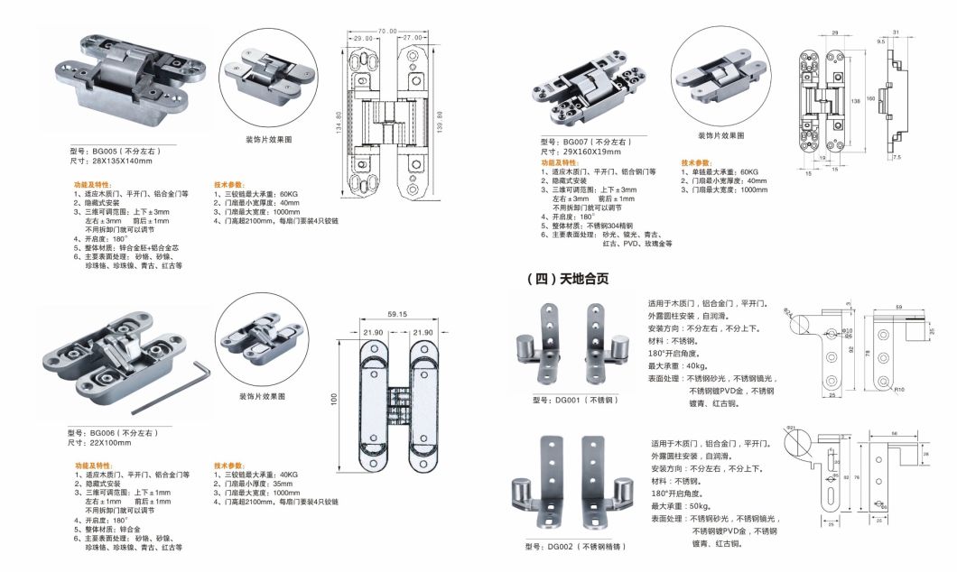 Ech Zinc Alloy Hidden Door Hinge