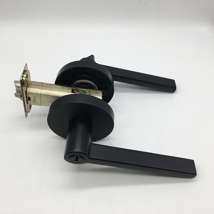 weiser halifax passage lever