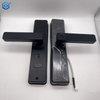 Electronic Fingerprint Password IC Card TT Or Tuya App Door Locks for Your Home