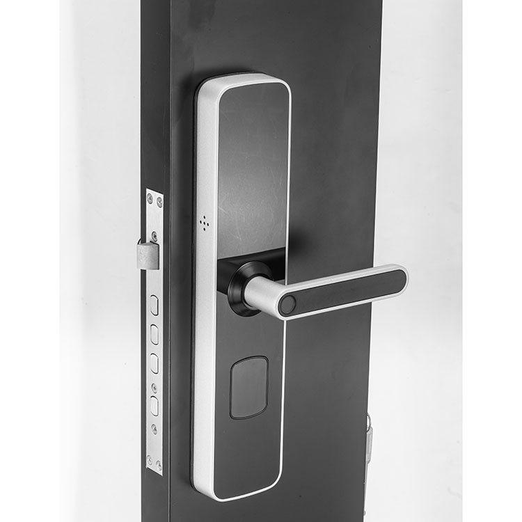 smart door lock