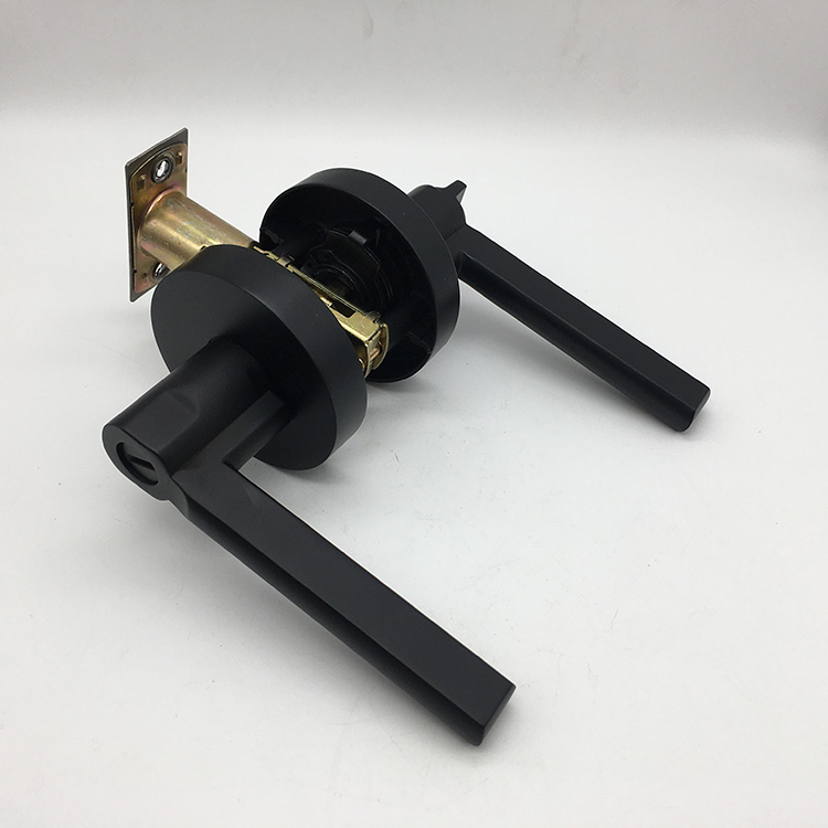 Basics Contemporary Door Lever with Lock Privacy Matte Black Buy