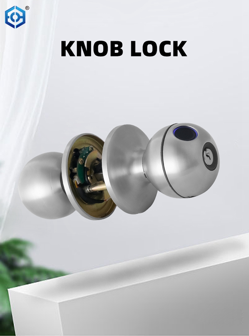 best biometric door lock