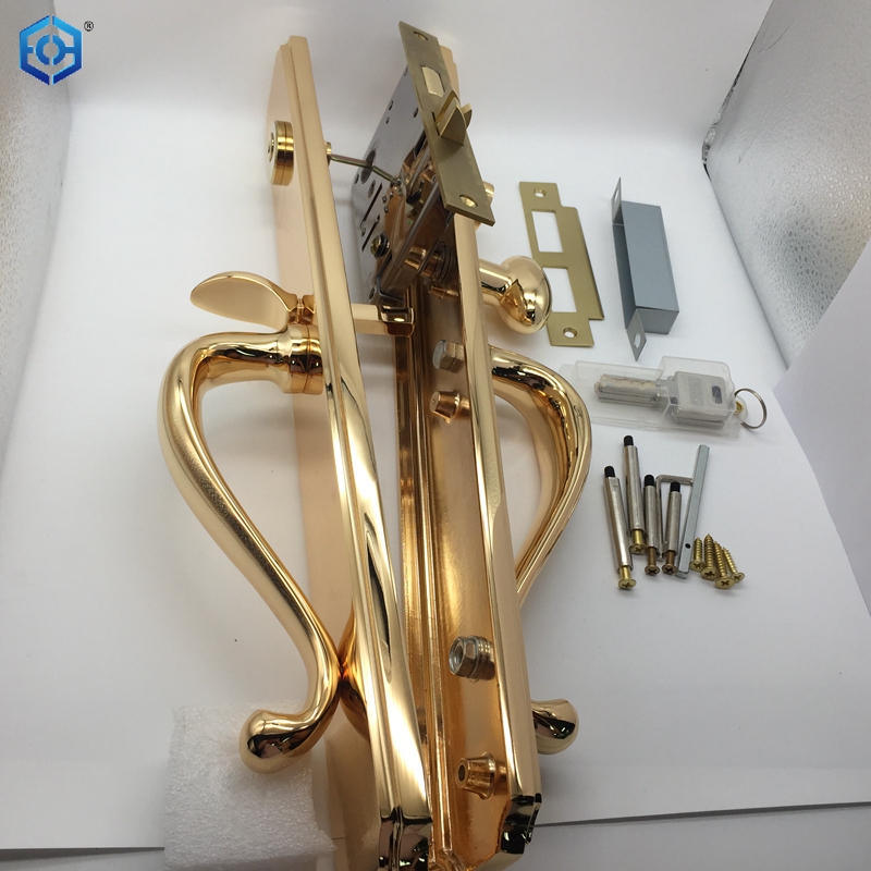 Solid Brass Entry Door Handle Set with Door Lever in Brushed Brass Finish for 5-1/2