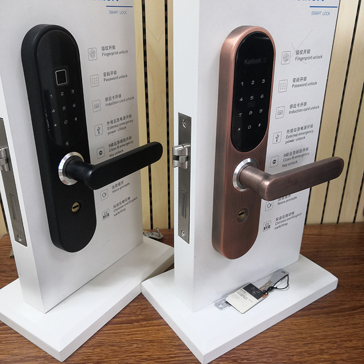 electronic lock (10)