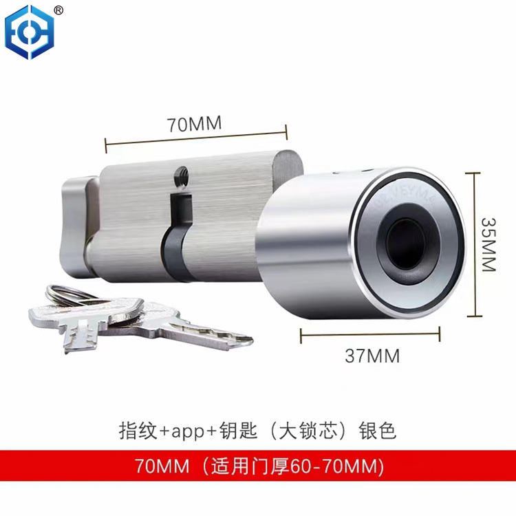 euro cylinder smart lock