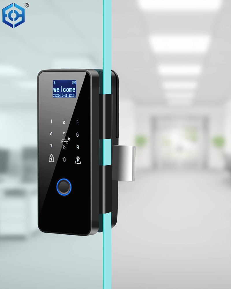 best biometric door lock