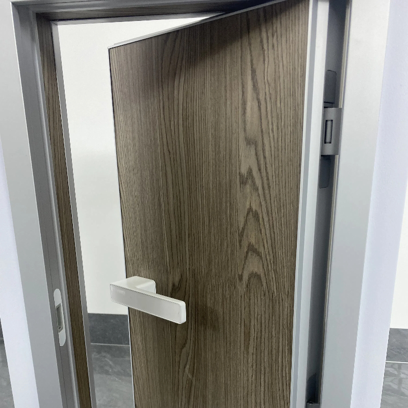 Hidden Doors Invisible for Painting with Aluminium Edging Profildoors