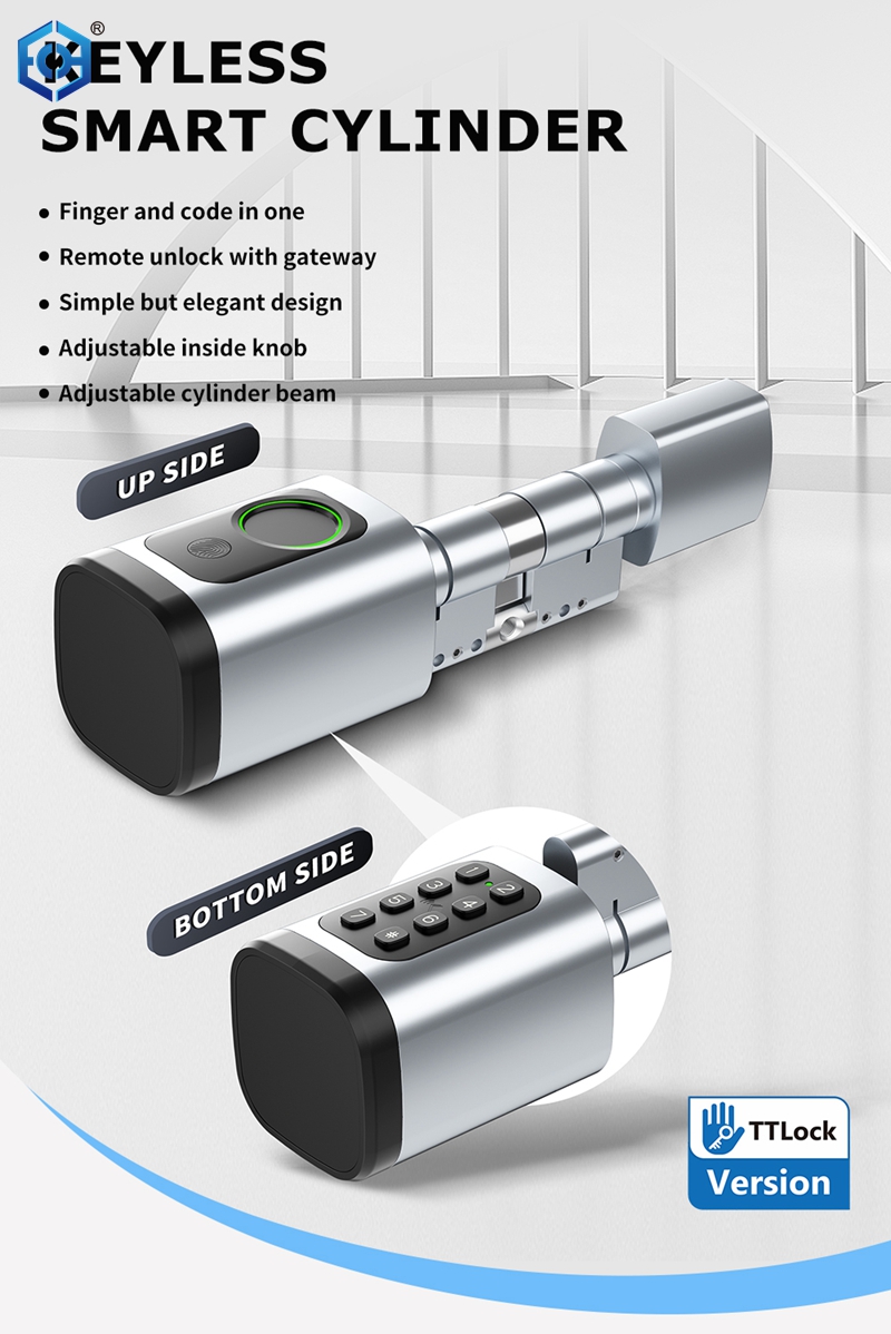 double cylinder smart lock