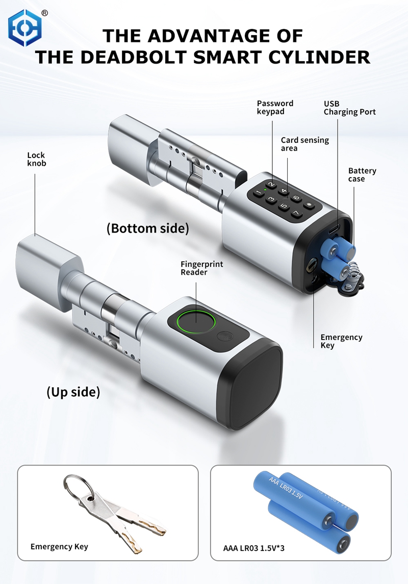 double cylinder smart lock