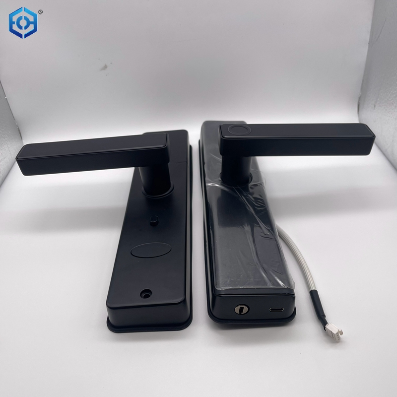 Electronic Fingerprint Password IC Card TT Or Tuya App Door Locks for Your Home