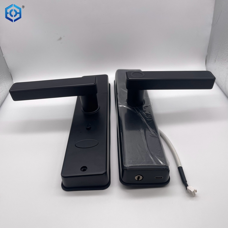 Electronic Fingerprint Password IC Card TT Or Tuya App Door Locks for Your Home