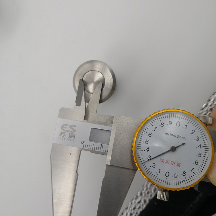 Stainless Steel Dust Proof Strike