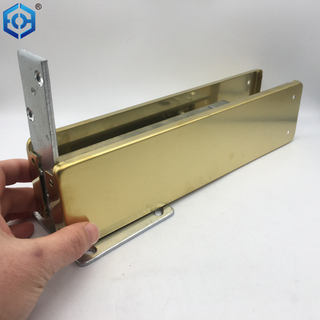 Golden Stainless Steel Double Action Floor Spring Hinge with Stainless Steel Cover Plates