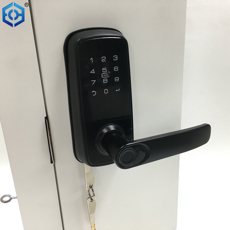 What is popular smart lock