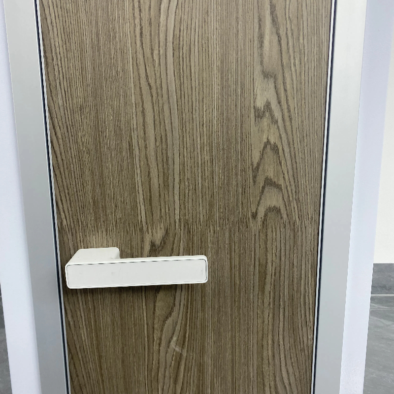 Hidden Doors Invisible for Painting with Aluminium Edging Profildoors