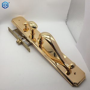 Solid Brass Entry Door Handle Set with Door Lever in Brushed Brass Finish for 5-1/2