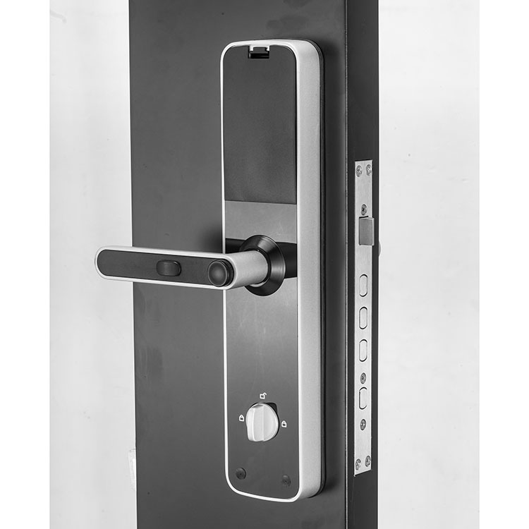 Digital Door Lock keyless touchpad Security