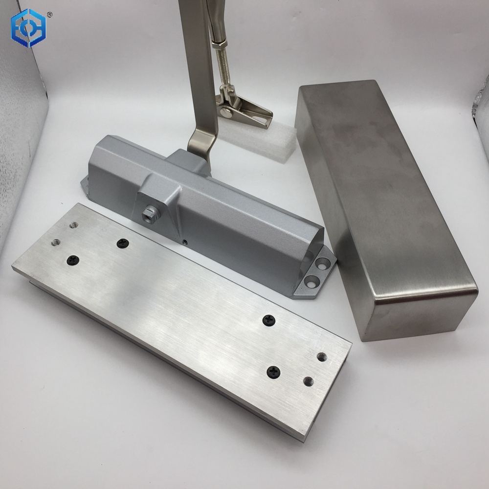 Stainless Steel Hydraulic Double Cylinder Glass Door Hinge Floor Spring Door Closer