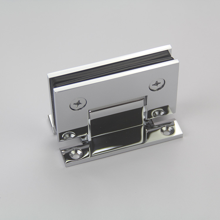 glass pivot hinge