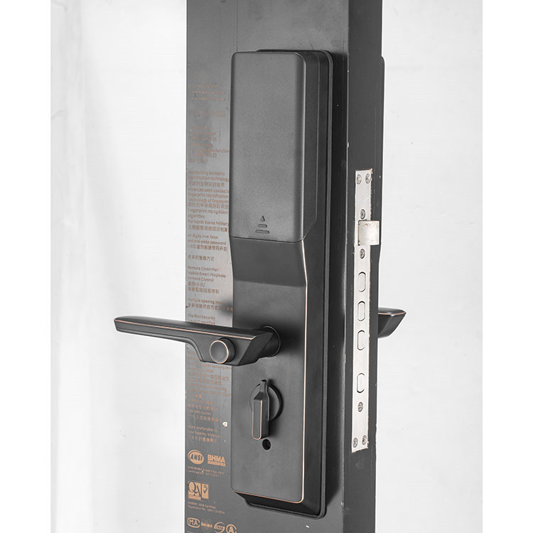 adel fingerprint door lock