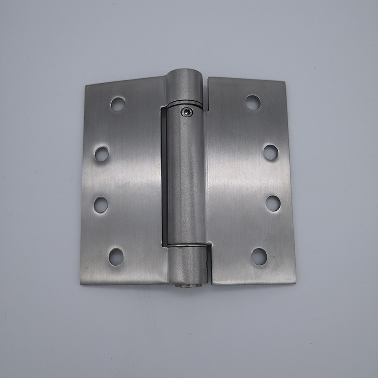 double acting spring hinge