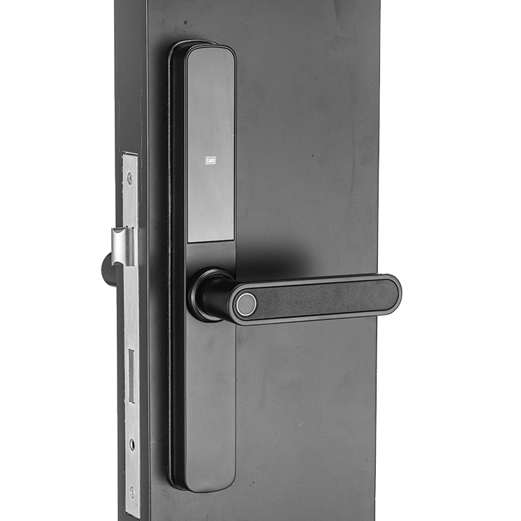 Black Zinc Alloy Mini smart lock
