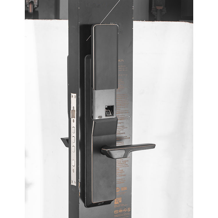 best biometric padlock