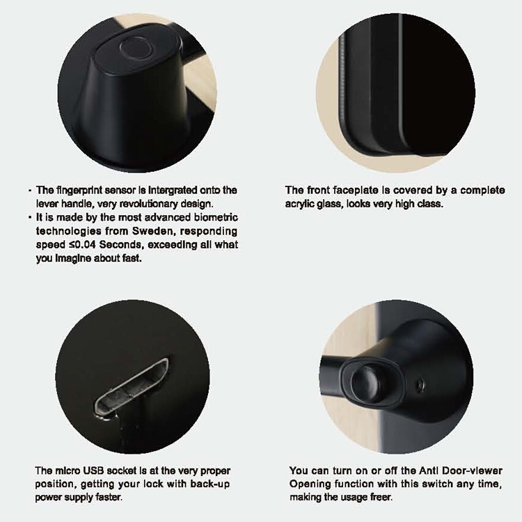 Blue Zinc Alloy door lock