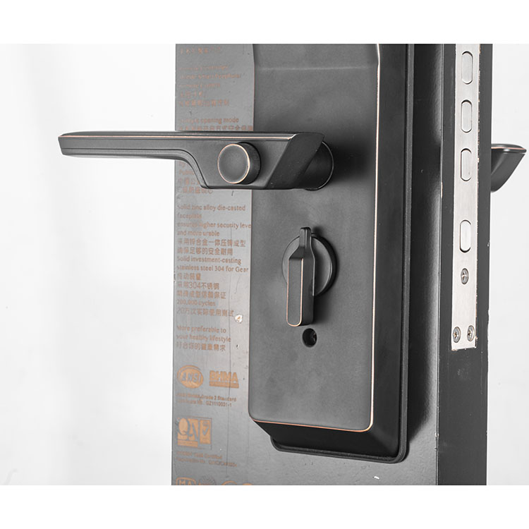 fingerprint smart door lock